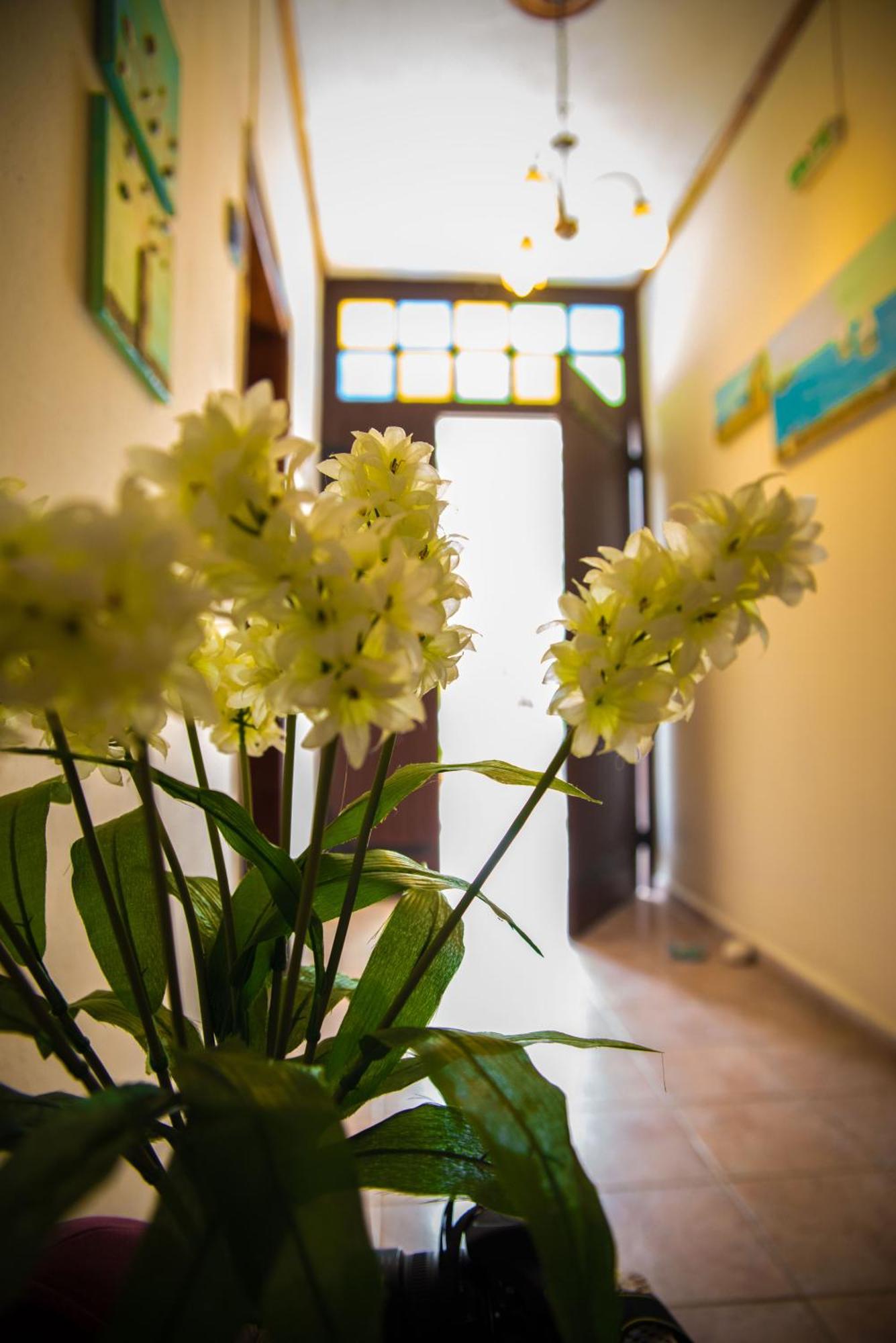 Olga Studios Áfissos Phòng bức ảnh